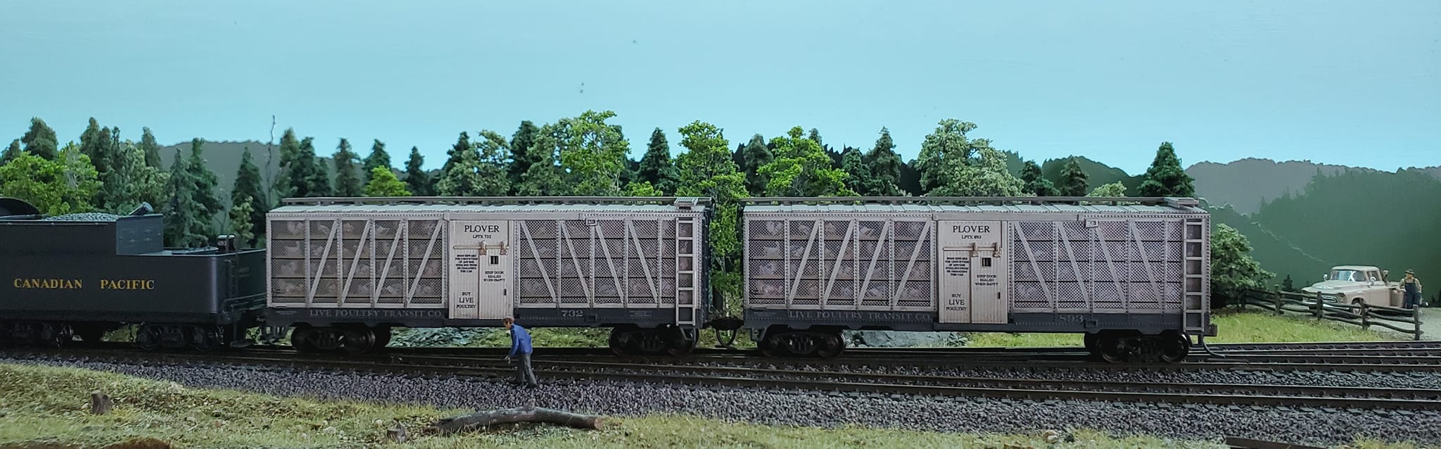 Poultry Cars for Manitoulin Turkeys